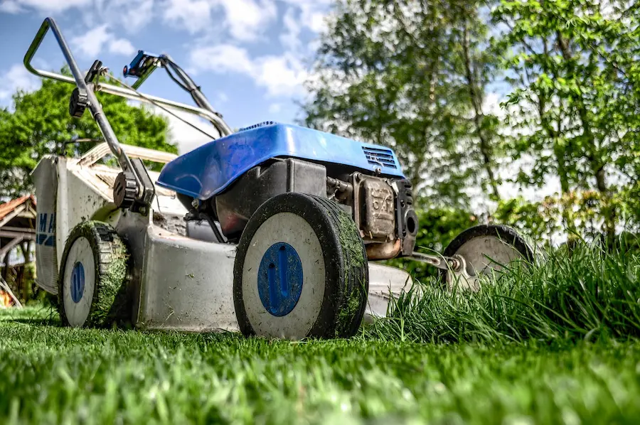 How To Make Your Garden Ready For A Hot Tub Event
