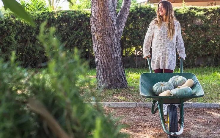 Tips For Keeping Your Lawn Green In Winter