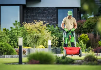 Effective Lawn Maintenance Techniques for a Greener Yard