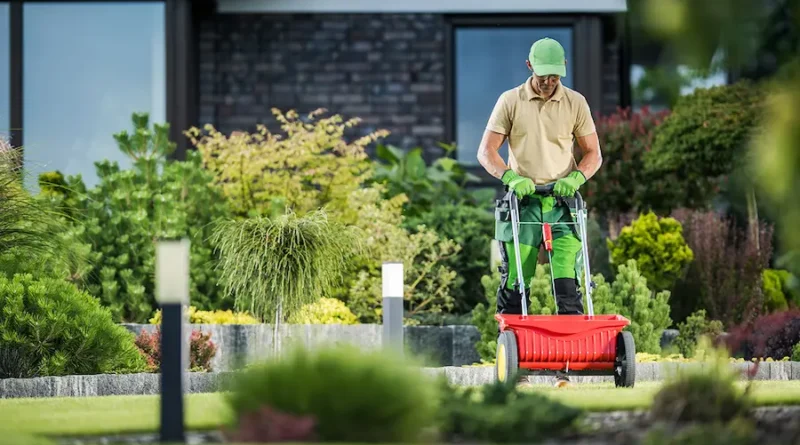 Effective Lawn Maintenance Techniques for a Greener Yard