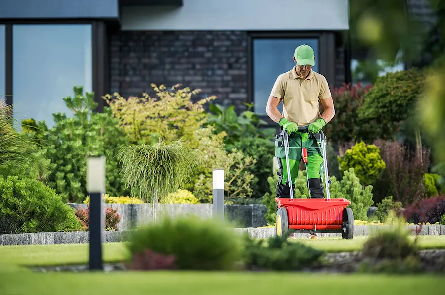 Effective Lawn Maintenance Techniques for a Greener Yard
