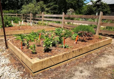 Creative Composting Tips for Healthier Gardens and Greener Communities