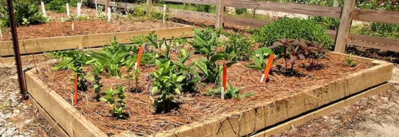 Creative Composting Tips for Healthier Gardens and Greener Communities