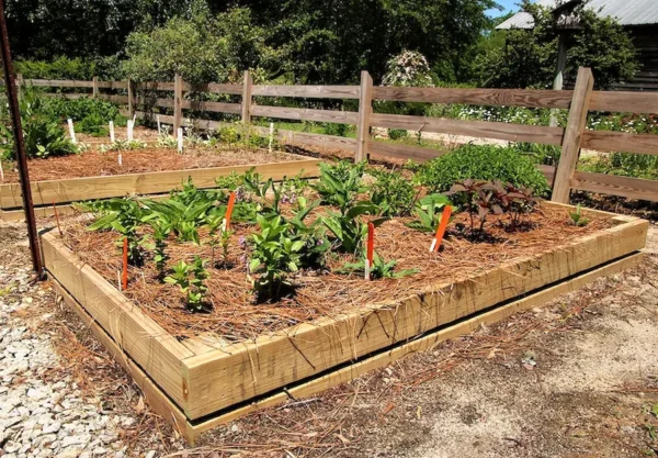 Creative Composting Tips for Healthier Gardens and Greener Communities