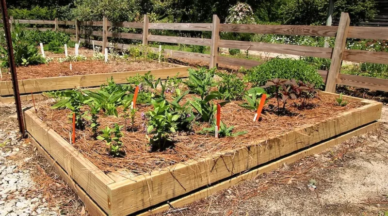Creative Composting Tips for Healthier Gardens and Greener Communities