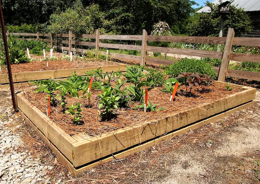 Creative Composting Tips for Healthier Gardens and Greener Communities