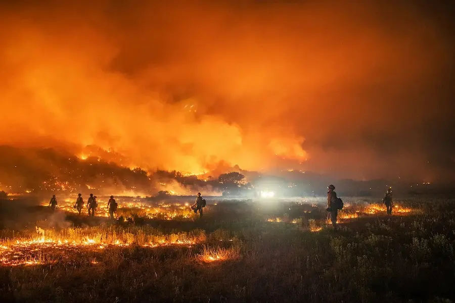 Transforming Disaster Into Design