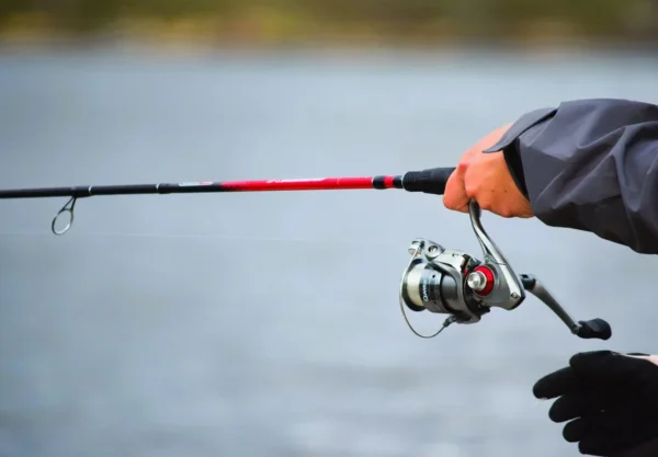 Fenwick HMX Review: Specs, Blank Performance, & Fishing Guide