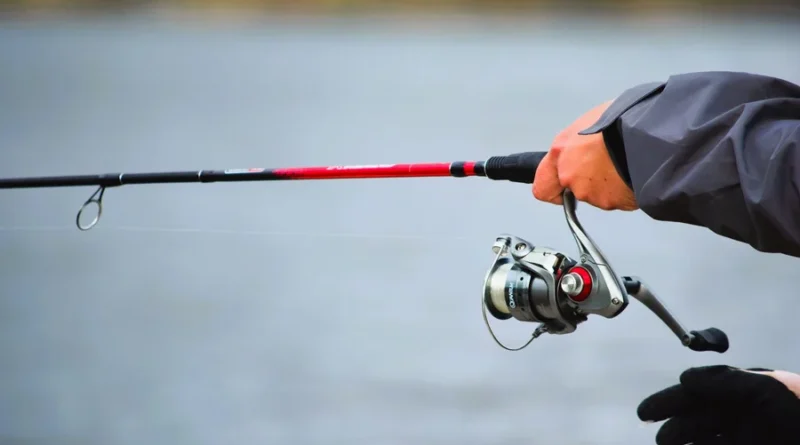 Fenwick HMX Review: Specs, Blank Performance, & Fishing Guide