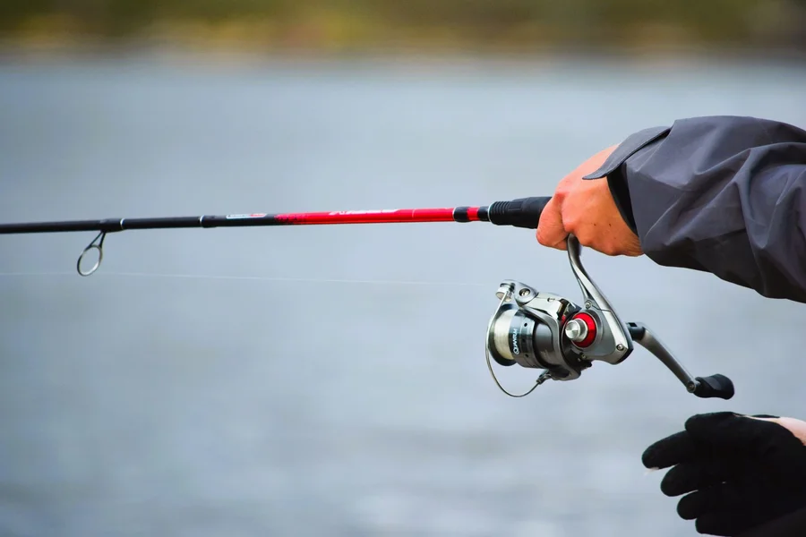 Fenwick HMX Review: Specs, Blank Performance, & Fishing Guide